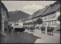 D-37431 Bad Lauterberg Im Harz - Kühe Auf Der Straße - Bad Lauterberg