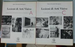 Lezioni Di Arti Visive A-C - Maria Alessandra Montagnani - Lattes - 2003 - G - Histoire, Philosophie Et Géographie