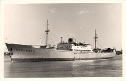 COOLARDO * Carte Photo * Bateau Cargo Paquebot Commerce Marine Marchande ? Compagnie Suède Sverige - Cargos