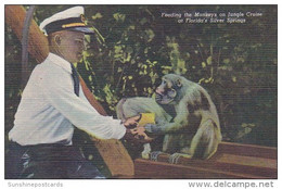 Florida Silver Springs Feeding The Monkeys On The Jungle Cruise Curteich - Silver Springs