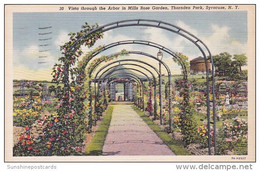 Vista Through The Arbor In Mills Rose Garden Thornden Park Syracuse New York 1939 - Syracuse