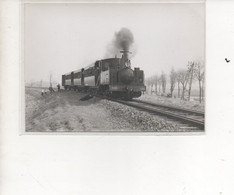 80  Chemin De Fer De La Baie De Somme   Train 3532  Env Le Crotoy          Photo Cliche Bazin  Serie F N° 28  Vue 3 - Le Crotoy