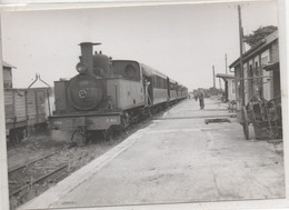 80  Chemin De Fer De La Baie De Somme   Train 3551  Env Le Crotoy          Photo Cliche Bazin  Serie F N° 28  Vue 8 - Le Crotoy