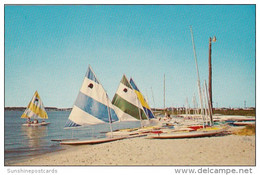 Delaware Rehoboth Beach Sailboats On The Beach - Altri & Non Classificati