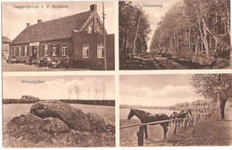 DABEL Bei Sternberg Mecklenburg Gastwirtschaft P.F. Bentfeld Hünengräber Pferde Zucht Auf Koppel 19.8.1932 - Sternberg