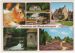 Groeten Uit Haaksbergen - (Nederland/Holland) - Nr. HAA 4 - Haaksbergen