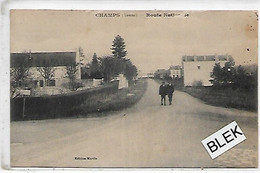 89 . Yonne . Champs Sur Yonne : Route Nationale . - Champs Sur Yonne