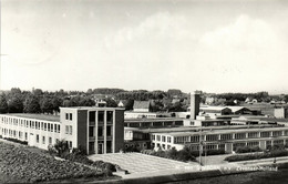 Nederland, ZEVENAAR, H. Van Gimborn N.V. (1965) Ansichtkaart - Zevenaar