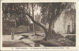 ALGERIE - Vieux Biskra - La Mosquée De Sidi-Maleck à Travers Les Arbres - Biskra