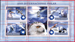 A5293 - GUINEA-BISSAU - Error, 2007, MINPERF, MINIATURE SHEET: Penguins, Owls, International Polar Year - Año Polar Internacional