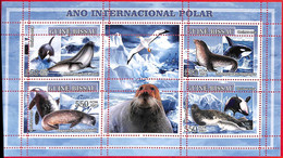 A5296 - GUINEA-BISSAU - Error, 2007, MINPERF, MINIATURE SHEET: Seals, Orcas, Birds, International Polar Year - Année Polaire Internationale