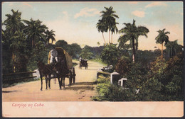 Delcampe - POS-1694 CUBA POSTCARD CIRCA 1902 CAMINO CAMPESTRE CARRETON DE CABALLOS UNUSED. - Kuba