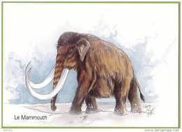 Mammouth Laineux / Woolly Mammoth (Pleistocene). Animal Préhistorique / Prehistoric Animal. Préhistoire. - Elefantes