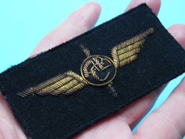 VLEUGELS - WINGS () Identificier / ID ( Details - Zie Foto's ) Velcro Achteraan / Afm. 9 X 4,5 Cm.! - Stoffabzeichen