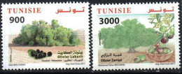 Tunisia 2017. Olive Trees From Tunisia. Flora. Plants. MNH - Tunesien (1956-...)
