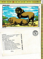 58445- THE WOODPECKERS QSL SWARP CLUB - ZWARTE NINJA   ARNHEM  NEDERLAND BBM 1036 - Lions