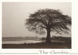 Postcard The Gambia Sunset / Coucher De Soleil  My Ref B25189 - Gambie