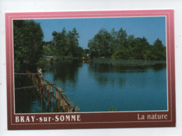 CPM  -  Bray Sur Somme (80340 ) - Vallée De La Haute Somme - Les Etangs D' Eclusier  - La Nature - Bray Sur Somme