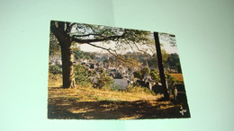 Carte Postale : Finistère, Pont-Aven, Vue Générale Sur La Ville, Perspective Que Connut Gauguin - Pont Aven