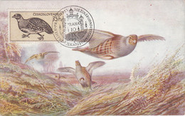 Carte Maximum Card Oiseau Bird Tchécoslovaquie Perdrix Partridge 1955 - FDC