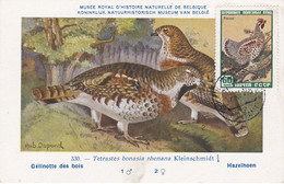 Carte Maximum Card Oiseau Bird Urss Russie Russia Gélinotte Des Bois Tetrastes Bonasia Rhenana - Maximum Cards