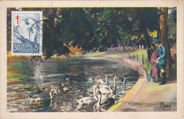 Carte Maximum Card Oiseau Bird Finlande Finland  Cygne Swan - Tarjetas – Máximo