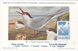 Carte Maximum Card Oiseau Bird Finlande Finland  Sterne Sterna - Maximumkaarten