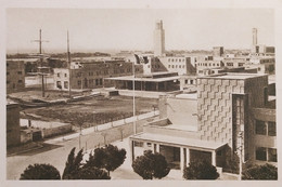 Cartolina - Le Città Di Mussolini - Sabaudia - 1935 Ca. - Latina