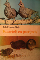 Kwartels En Patrijzen - Door R. Van Der Mark - 1978 - Wild Vogels - Altri & Non Classificati