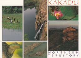 Postcard Kakadu Northern Territory My Ref B25207TB - Kakadu