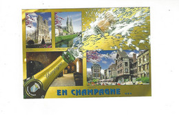 EN CHAMPAGNE MULTIVUES         ****    A  SAISIR  **** - Champagne - Ardenne