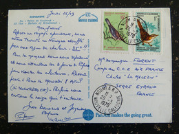 LETTRE NOUVELLE CALEDONIE AVEC YT 345 364 OISEAU BIRD VOGEL - HIENGHENE AU RELAIS DE KOULNOUE - Cartas & Documentos