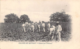 Mettray        37     La Colonie: Colons Aux Travaux Des Champs          (scan) - Mettray