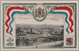 LUXEMBOURG - Freylinger (Esch) - Esch Alzette General View + Arms - Unused - Vivid Color - Esch-Alzette