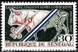 SENEGAL - Campagne Contre La Peste Bovine - Senegal (1960-...)