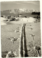 SCHWELLBRUNN Spuren Im Schnee - Schwellbrunn