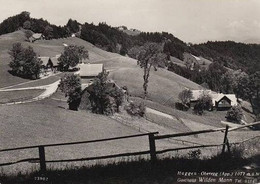 HAGGEN OBEREGG Gasthaus Wilden Mann - Oberegg