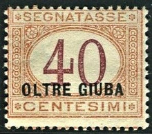 OLTRE GIUBA 1925 SEGNATASSE 40 C. ** MNH - Oltre Giuba