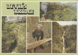 Postcard Devil's Bridge Cardiganshire My Ref B25218MD - Cardiganshire