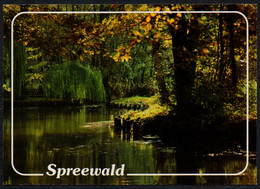 F3844 - TOP Blota Burg Spreewald - Bild Und Heimat Reichenbach Qualitätskarte - Burg (Spreewald)