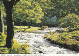 Postcard North Wales Llanbedr River Artro Cwm Bychan My Ref B25230MD - Merionethshire