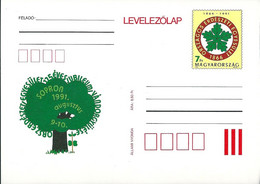 3243d Hungary Postcard Nature Plant Tree Forest Unused - Covers & Documents