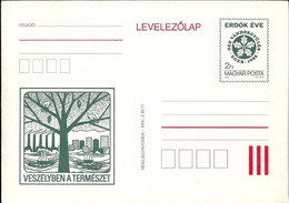 3246e Hungary Postcard Nature Protection Plant Tree Forest Unused - Cartas & Documentos