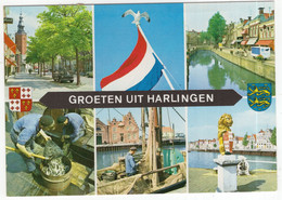 Harlingen - Visserij, Paling, Nederlandse Vlag, Kerk Etc. - (Nederland) - L 322 - Harlingen