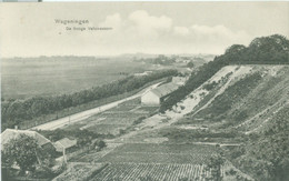 Wageningen 1910; De Hooge Veluwezoom - Niet Gelopen. (Weenenk & Snel, 's-Gravenhage) Lees Ook Beschrijving! - Wageningen