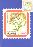 Portugal Acores:Maxi Card, Stamp On Postcard, Regional Flowers, Lactuta Watsoniana, 1982 - Stamps (pictures)