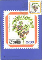 Portugal Acores:Maxi Card, Stamp On Postcard, Regional Flowers, Vicia Dennesiana, 1982 - Stamps (pictures)