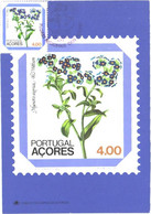 Portugal Acores:Maxi Card, Stamp On Postcard, Regional Flowers, Myosotis Azorica, 1982 - Stamps (pictures)