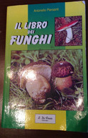 Il Mondo Dei Funghi - Antonello Piersanti - Di Fraia - 1990 - M - Naturaleza