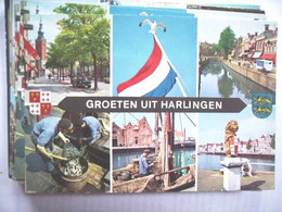 Nederland Holland Pays Bas Harlingen Met Meeuw Op Vlag - Harlingen